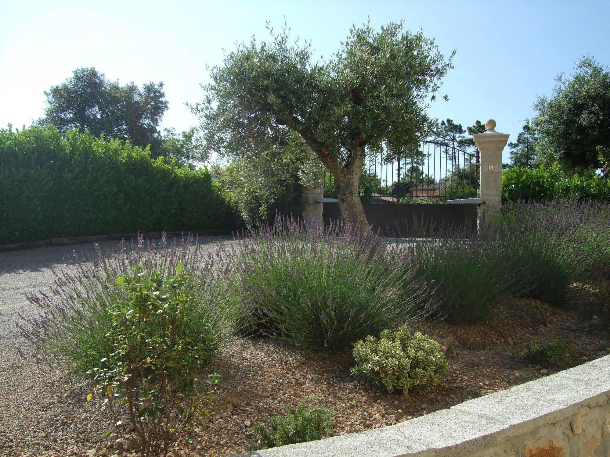 Villa Verdi Montauroux Exterior foto